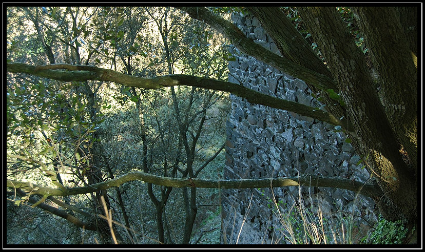 Monumento Naturale Galeria Antica