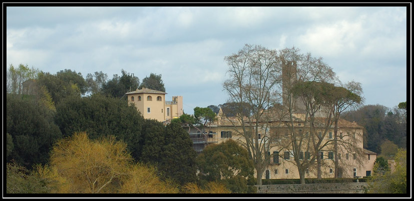 Il borgo e il castello di Torrimpietra, il borgo di Palidoro