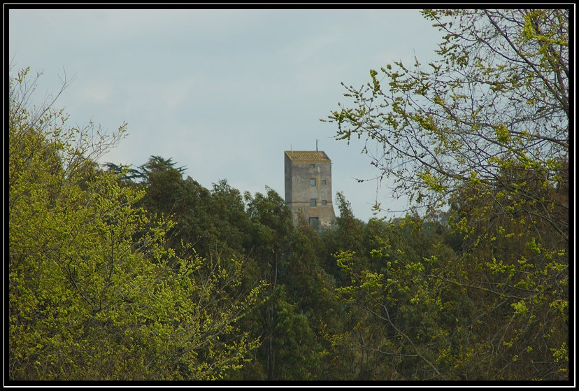Il borgo e il castello di Torrimpietra, il borgo di Palidoro
