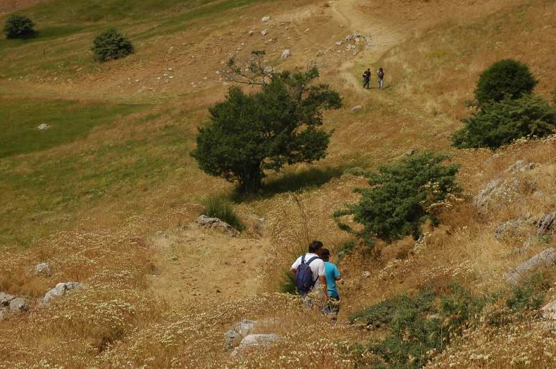 INCONTRO DI NATURA MEDITERRANEO SULLE MADONIE (PA)