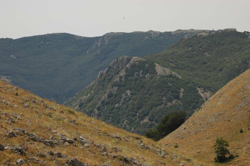 INCONTRO DI NATURA MEDITERRANEO SULLE MADONIE (PA)