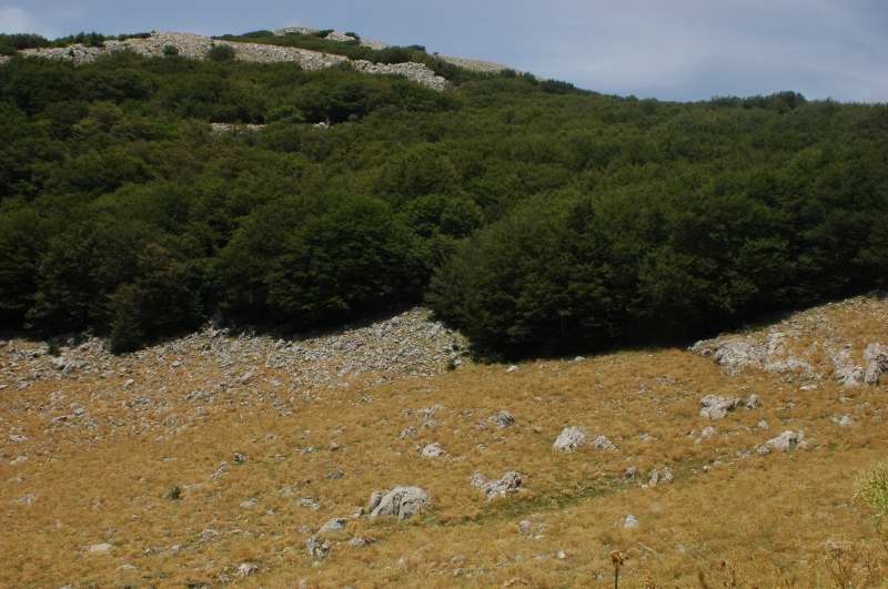 INCONTRO DI NATURA MEDITERRANEO SULLE MADONIE (PA)