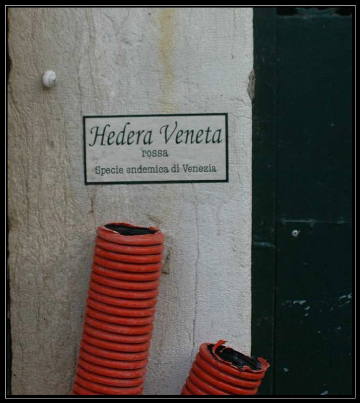 Incontro a Venezia