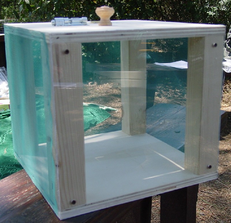 Progetti pratici di educazione ambientale