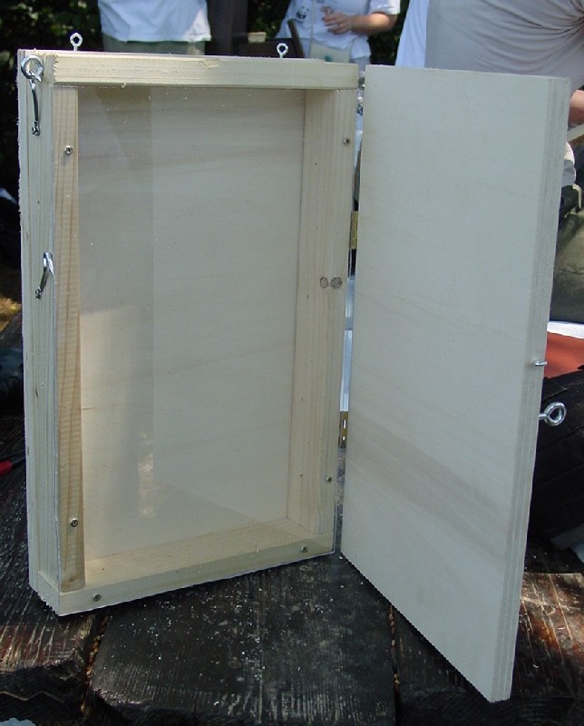 Progetti pratici di educazione ambientale