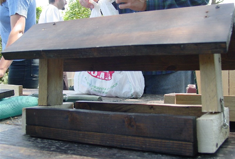 Progetti pratici di educazione ambientale