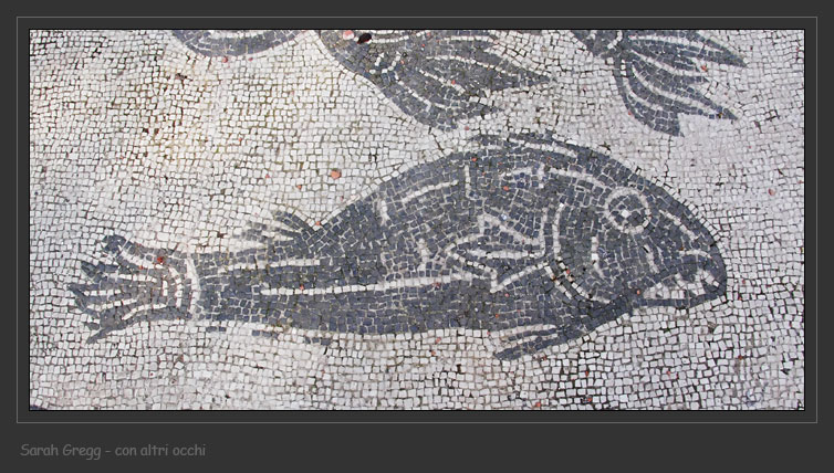 Arte e biologia marina.