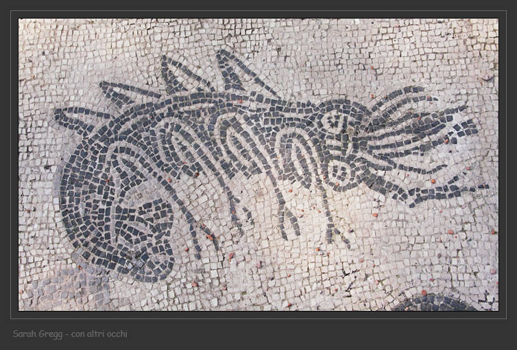 Arte e biologia marina.
