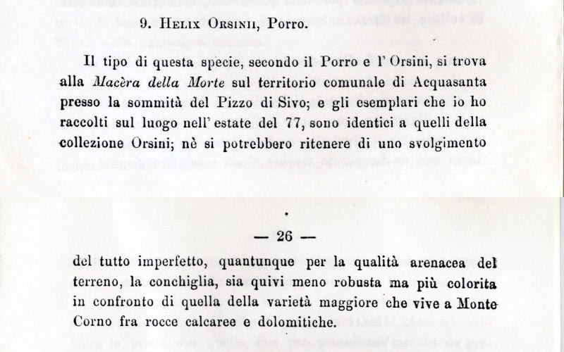 Alla ricerca della Monacha orsinii (Villa & Villa, 1841)