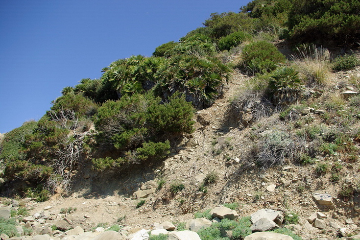 Da Punta delle Rocchette a Punta Ala (GR)