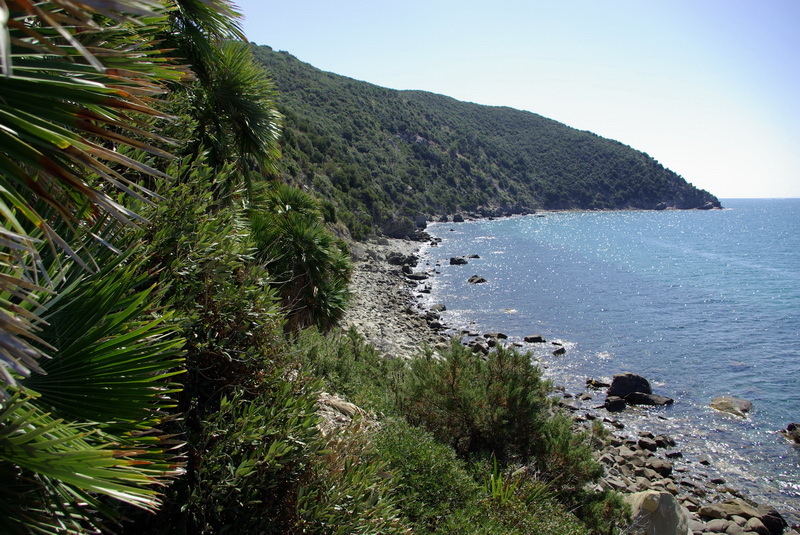 Da Punta delle Rocchette a Punta Ala (GR)