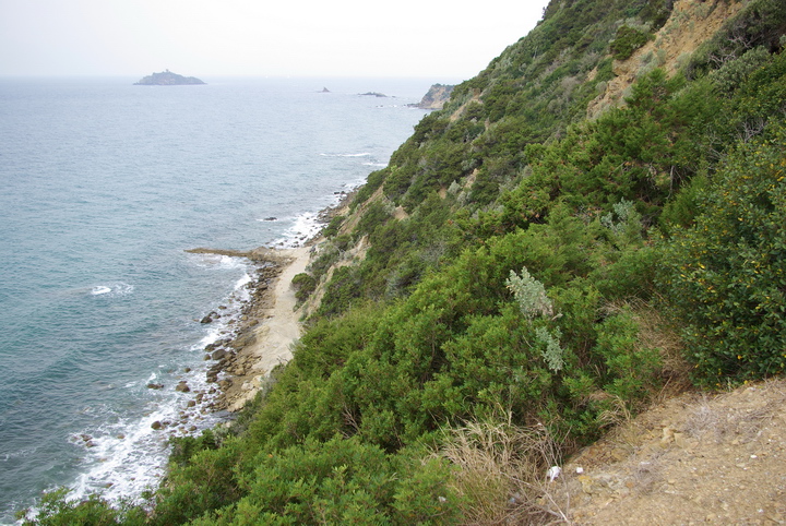 Da Punta delle Rocchette a Punta Ala (GR)