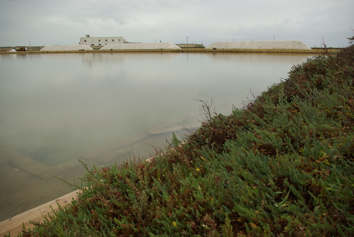 Le Saline di Trapani e Paceco