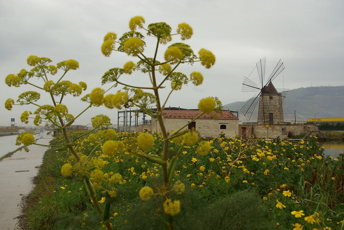 Le Saline di Trapani e Paceco