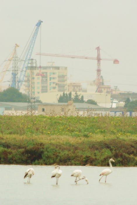 Le Saline di Trapani e Paceco