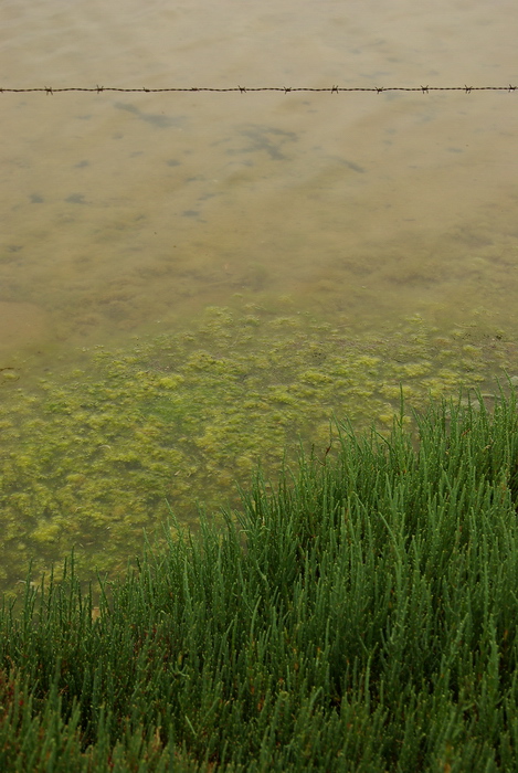 Le Saline di Trapani e Paceco