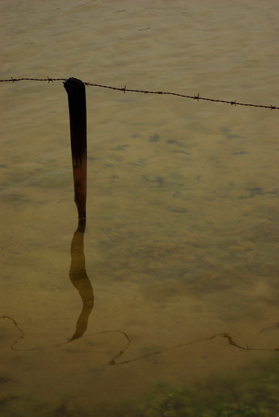 Le Saline di Trapani e Paceco