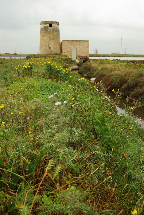 Le Saline di Trapani e Paceco