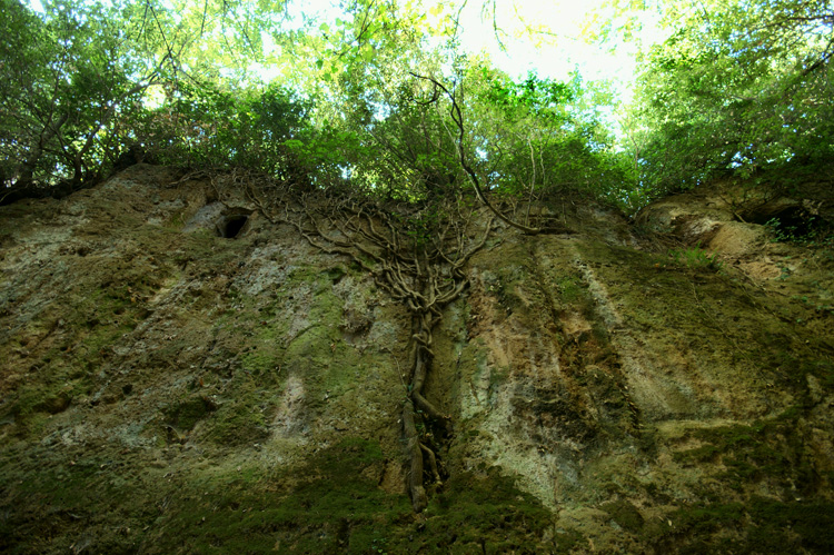 Sovana :  la Necropoli e le Vie Cave