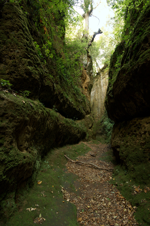 Sovana :  la Necropoli e le Vie Cave