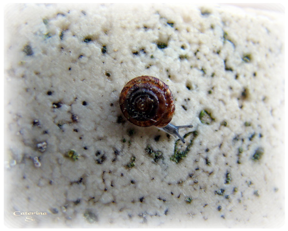 Modestamente...una macro 2