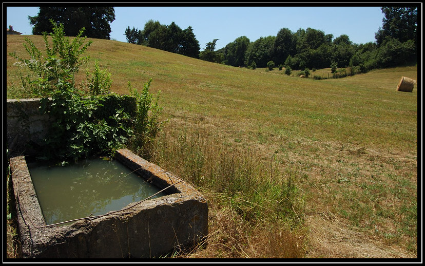 Oriolo Romano e il parco della Mola SIC IT6010033