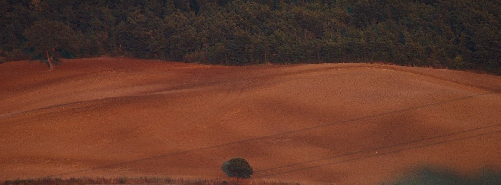 Orizzonti lontani
