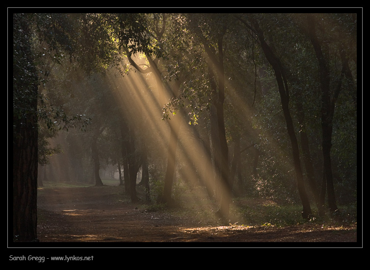 Sul litorale romano � presto, ma...