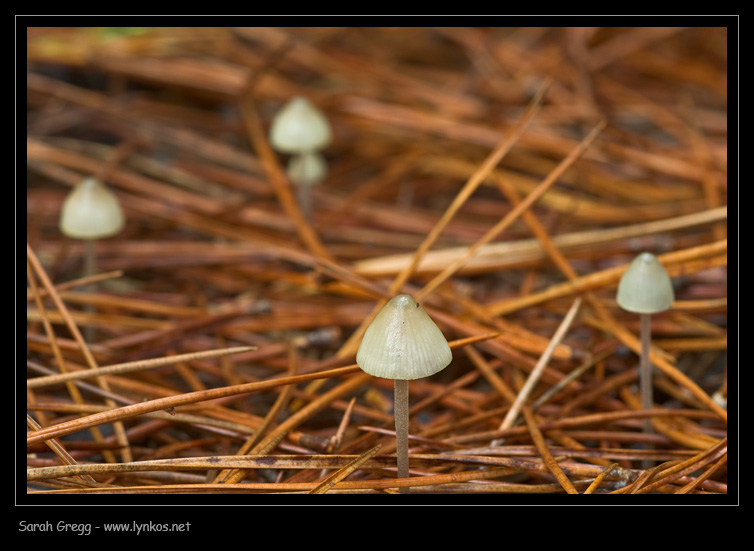 Sul litorale romano � presto, ma...