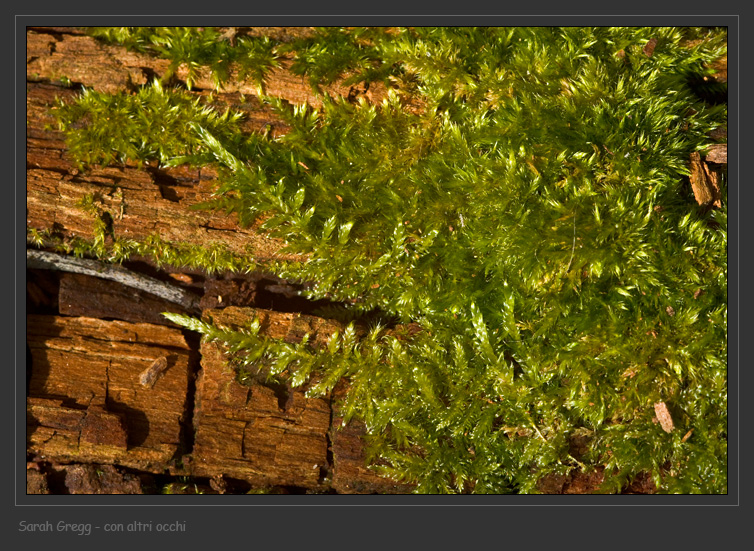 Senza capsule, ma...