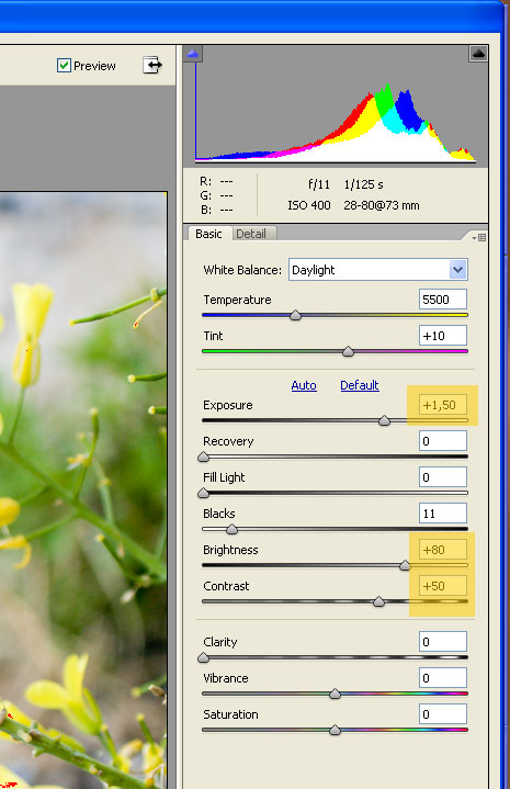 Ossessione disturbo.