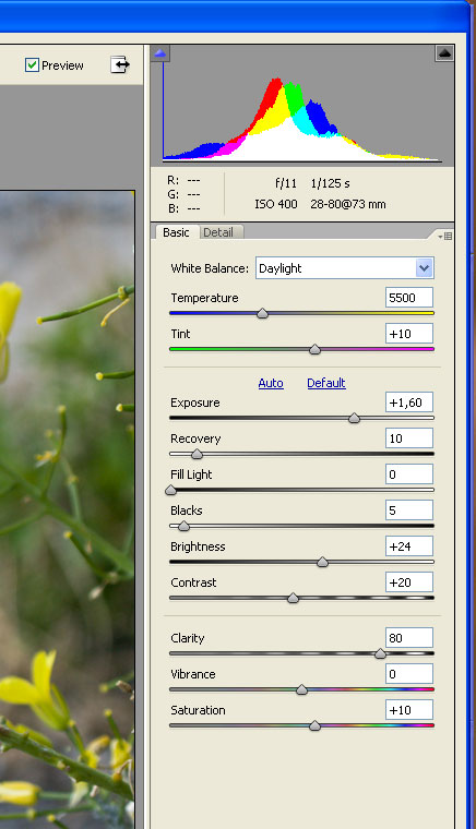 Ossessione disturbo.