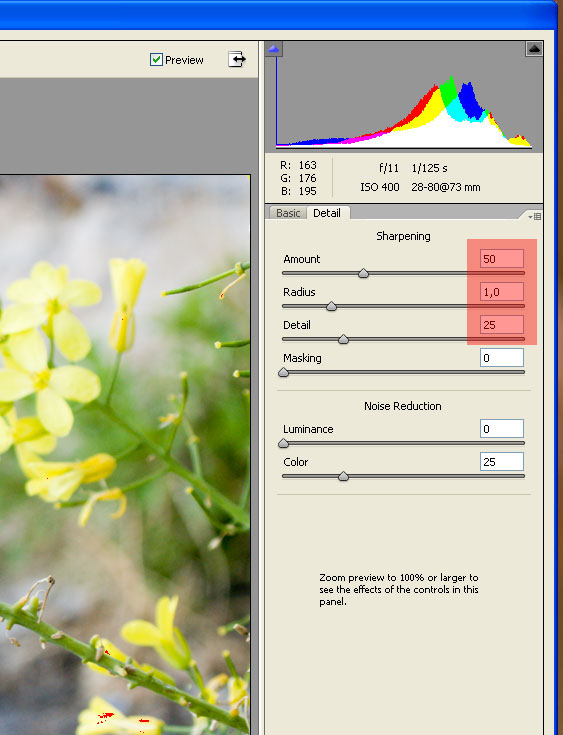 Ossessione disturbo.
