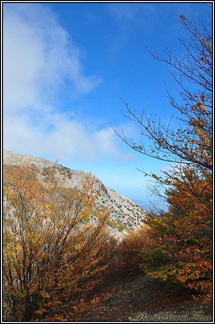 I colori dell''autunno...