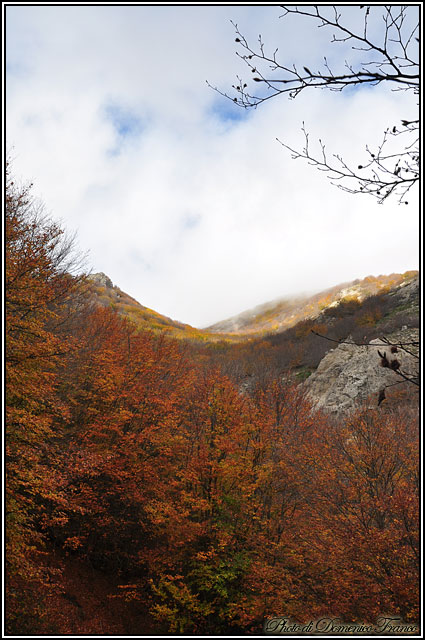 I colori dell''autunno...