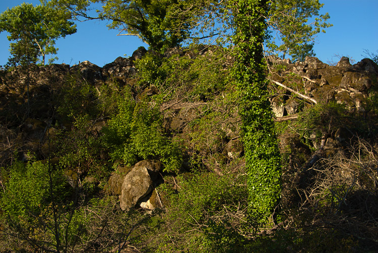 La Selva del Lamone ed il Sentiero dei Briganti