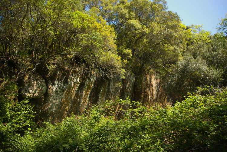 La Selva del Lamone ed il Sentiero dei Briganti