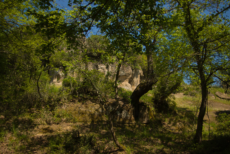 La Selva del Lamone ed il Sentiero dei Briganti