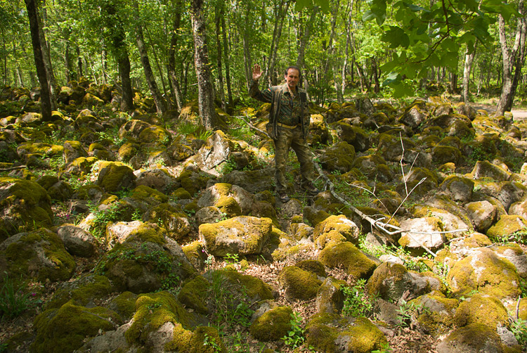 La Selva del Lamone ed il Sentiero dei Briganti