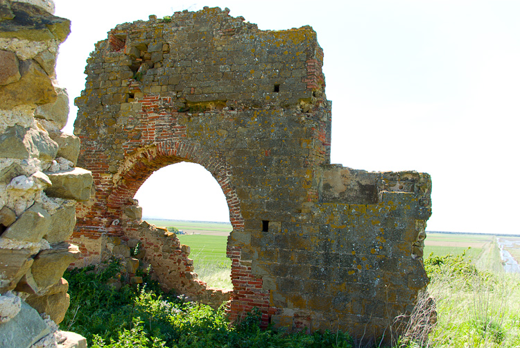 Diaccia Botrona . Isola Clodia - Lichene da det. 1