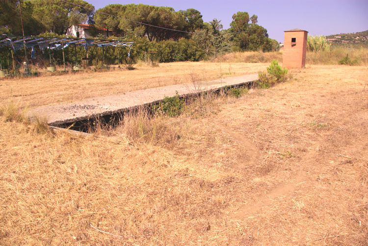 La Diaccia Botrona - Padule di Castiglione della Pescaia