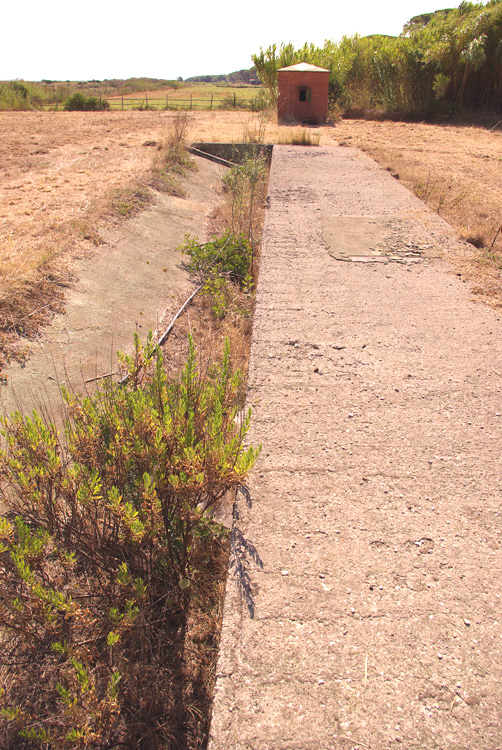 La Diaccia Botrona - Padule di Castiglione della Pescaia